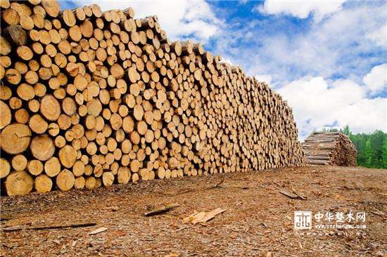 一季度广东省木材加工企业的产值全面增长